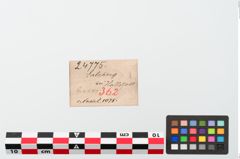 Etiketten zu Bronzemehrkopfnadel (NHMW-PRAE-024775)